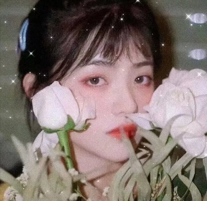 全家福